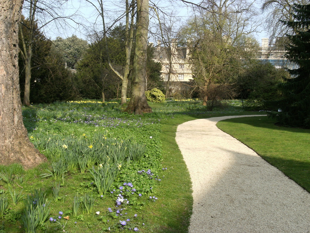 DSCF0169.JPG